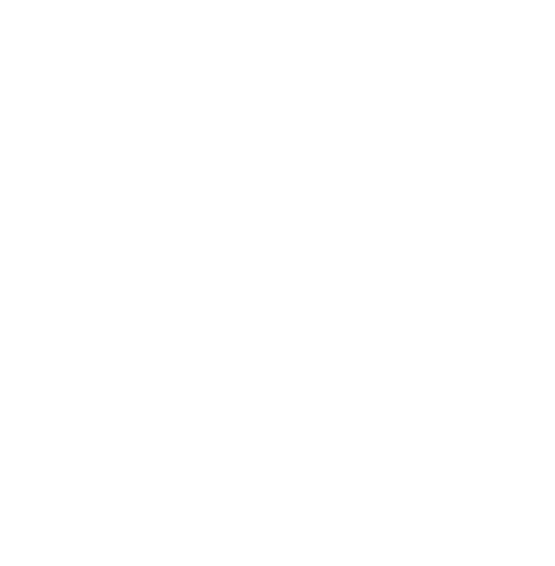 Netrix Logo